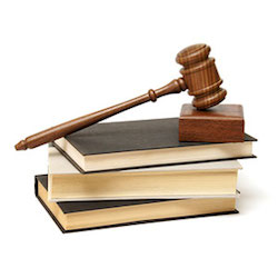 Commencing the Appeal